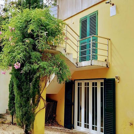 Casa Amarante Porto Villa Dış mekan fotoğraf