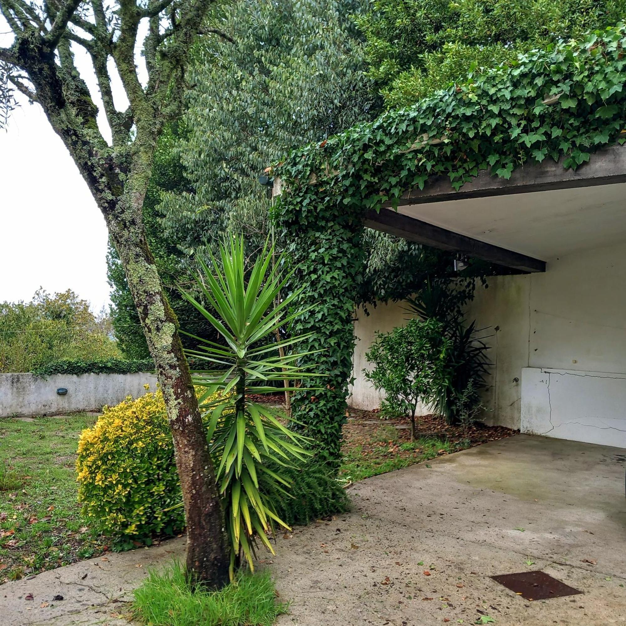 Casa Amarante Porto Villa Dış mekan fotoğraf