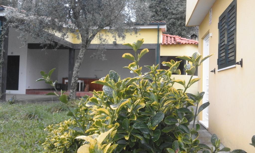 Casa Amarante Porto Villa Dış mekan fotoğraf